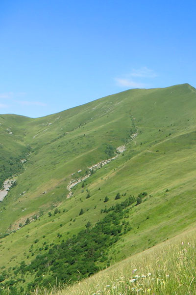 Sentieri ed Escursioni sul Pizzo Baciamorti